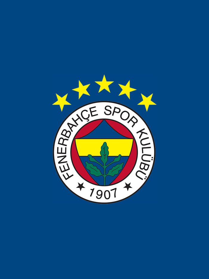 Puffy Fenerbahçe Taraftar Battaniyesi - Görsel 1